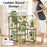 Plant Stand Indoor Plant Shelf Outdoor Wood Plant Rack for Multiple Plants 3 Tiers Ladder Plant Holder