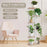 6 Tier Plant Stand, Indoor Wood Flower Stand Outdoor Tiered Plant Shelf Display Rack for Multiple Plants Suitable for Window Garden Corner Balcony Living Room