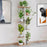 6 Tier Plant Stand, Indoor Wood Flower Stand Outdoor Tiered Plant Shelf Display Rack for Multiple Plants Suitable for Window Garden Corner Balcony Living Room