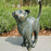 Beautiful Cat Statue With Rounded Back Garden Decor Outdoor Ornament Decor New