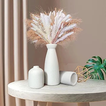 Set of 3 Modern Nordic Ceramic vases in Matte White Finish,Minimalist Decorative Vases for Living Room Bookshelf Table Centerpiece Entrance Decor